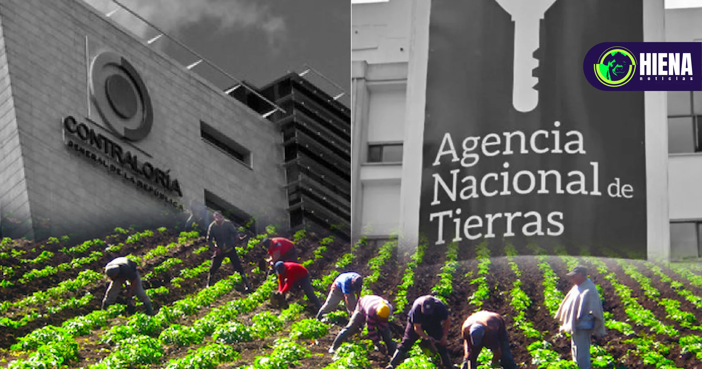 Contraloría destapa $160 mil millones en irregularidades de tierras para campesinos