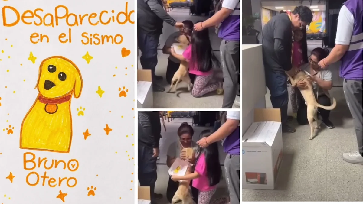 Niña mostrando un dibujo de su perro Bruno mientras recibe a su mascota tras el terremoto en Cali