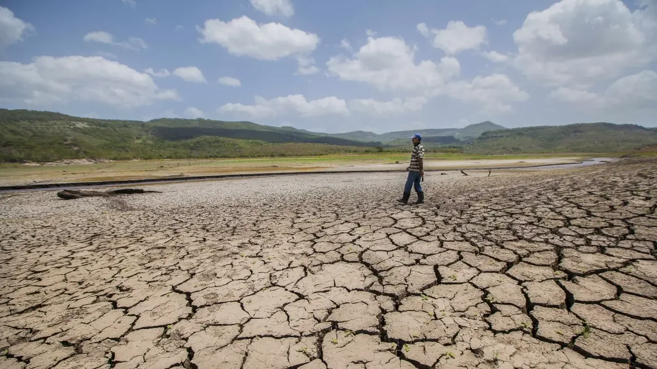 Representación de mapas de clima con aviso de El Niño y variaciones de temperatura y lluvia sobre Colombia y el Pacífico tropical