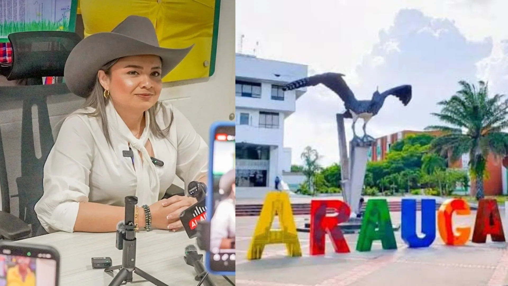 Lina María Garrido, directora de la ANT, anunciando inversión para el campo en Arauca con tractores de fondo.