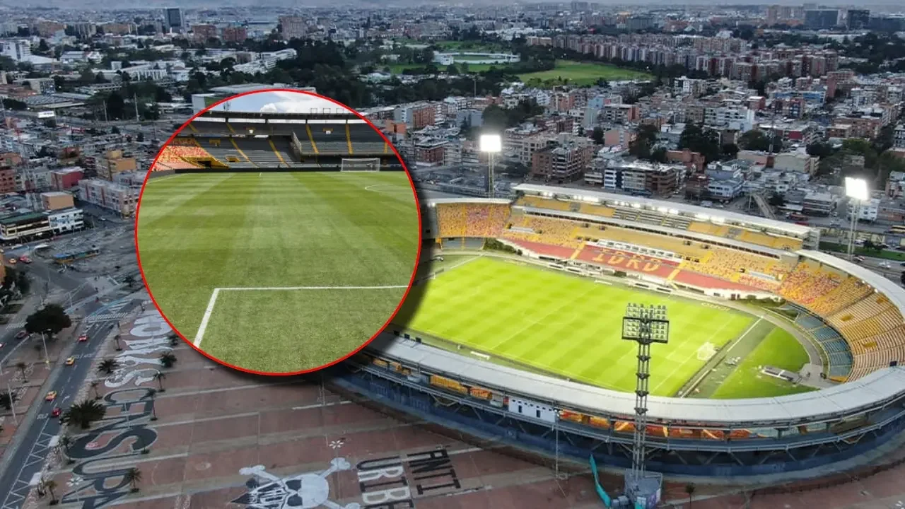 Gramilla del estadio Nemesio Camacho El Campín de Bogotá tras las labores de recuperación técnica.
