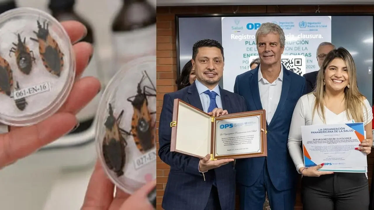 Jornada de vigilancia y control epidemiológico de salud pública en Santander contra el insecto vector del Chagas.